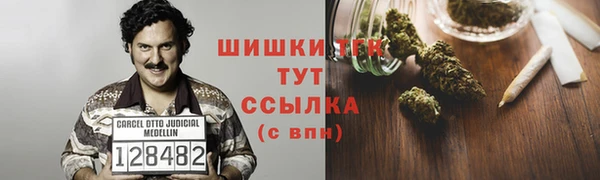 шишки Алексин