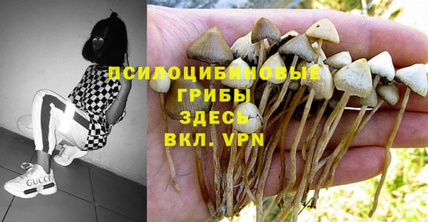 тгк Абдулино