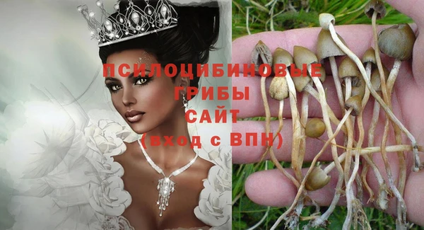 шишки Алексин